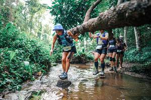 BIB: 
                            <button type="button" onclick="openModal(25369823)" class="btn btn-primary btn-sm float-right btn-popup" data-toggle="modal" data-target=".modal-high-quality">
                        <i class="fas fa-shopping-cart"></i> Add to Cart
                    </button>
                                            <button type="button" onclick="isThisMe(25369823, true)" class="btn btn-success btn-sm float-right btn-popup btn-isme hidden" data-toggle="tooltip" data-placement="bottom" title="นี่คือรูปของคุณใช่ไหม คลิกที่นี่เพื่อเอาเข้าอัลบั้ม">
                        <i class="fas fa-plus"></i> Add to album
                    </button>
                    <button type="button" onclick="isThisMe(25369823, false)" class="btn btn-warning btn-sm float-right btn-popup btn-isnotme hidden">
                        <i class="fas fa-ban"></i> Remove from album
                    </button>